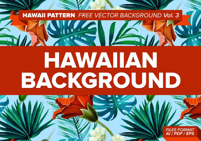 700x490 Hawaii Free Vector Art