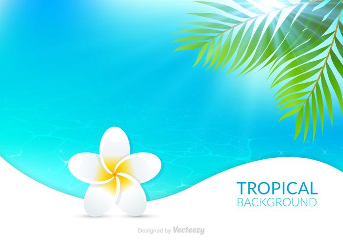 700x490 Hawaiian Background Vector