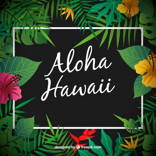 Hawaiian Background Vector at Vectorified.com | Collection of Hawaiian ...