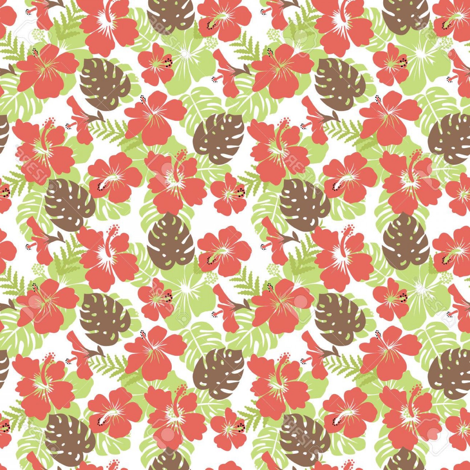 1560x1560 Photostock Vector Pattern Of Tropical Leaves And Flowers Hibiscus