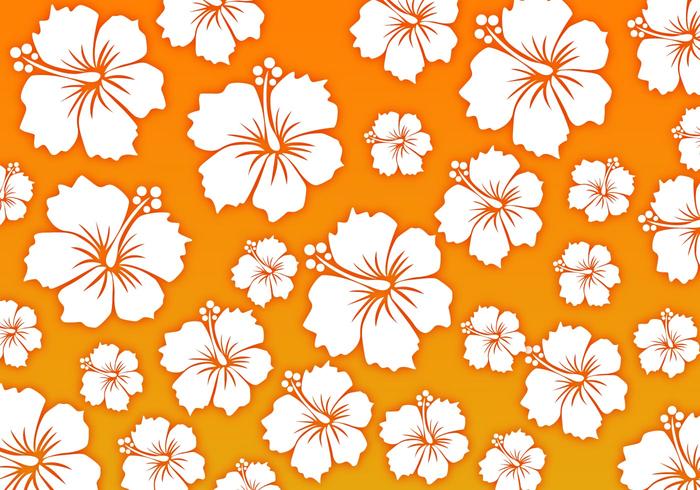 700x490 Free Hawaii Background Vector