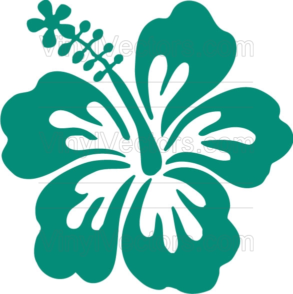 586x589 Hawaiian Hibiscus Flower Vector Art Images