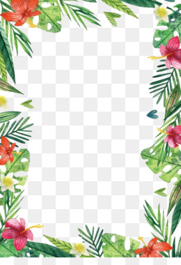 260x380 Free Download Hawaii Flower