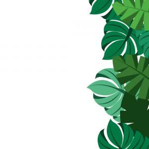 300x300 Hawaiian Flower Border Clip Art Clipart Tiki Hibiscus And Palm