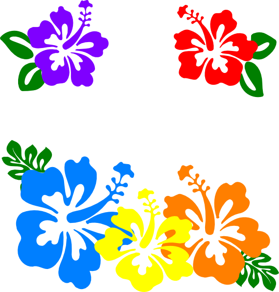 570x596 Hawaiian Flower Hibiscus Clip Art
