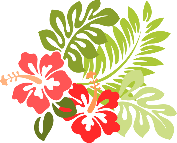 600x483 Hibiscus Clipart Hawaiian For Free Download And Use Images