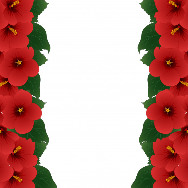 626x626 Red Hibiscus Flower