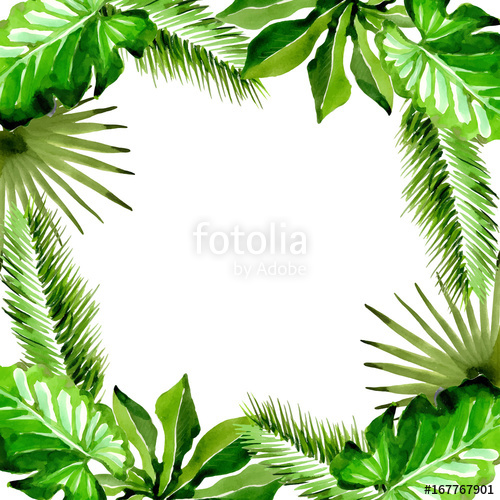 500x500 Tropical Hawaii Leaves Palm Tree Frame In A Vector Style