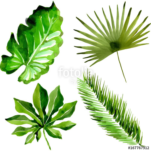 500x500 Tropical Hawaii Leaves Palm Tree In A Vector Style Isolated