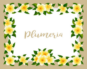 300x240 Tropical Hawaiian Frame With Jungle Exotic Flowers And Yellow
