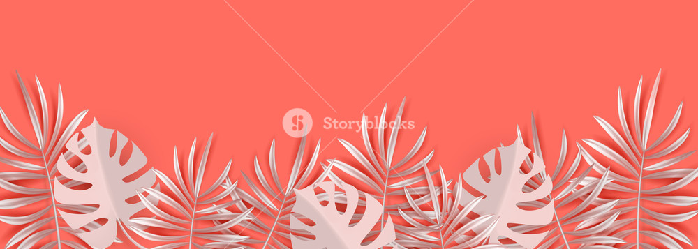 1000x357 Vector Tropical Horizontal Border With Silvery Palm Leaves