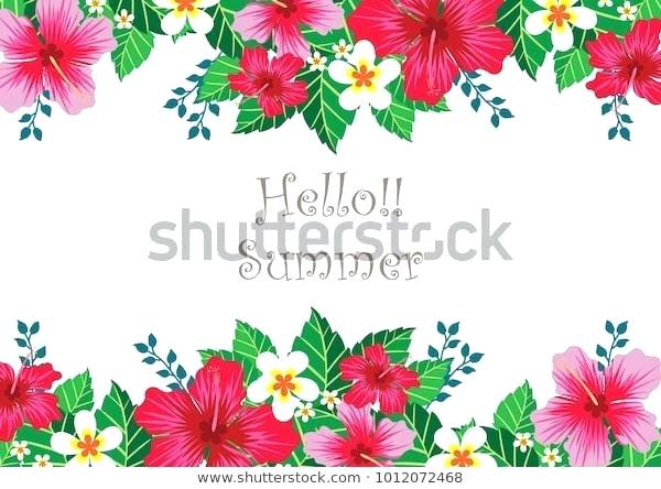 600x444 Flowers Border Vector