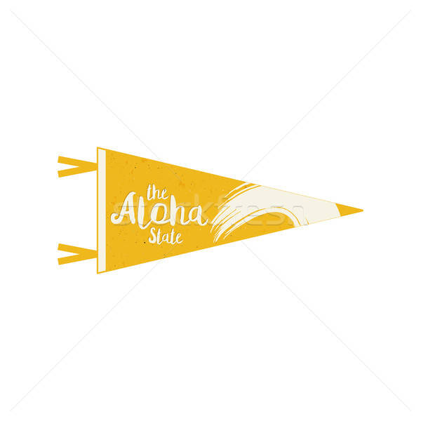 600x600 Hawaii Flag Pennant Vector Hawaiian Pennant Cocnept Design