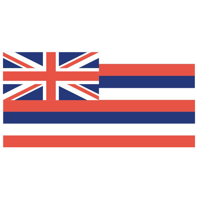 660x660 Hawaii Vector Flag