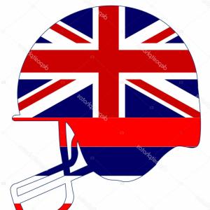 300x300 Red Hawaiian Flower Hibiscus Silhouette Vector Clipart Hoodamathrun