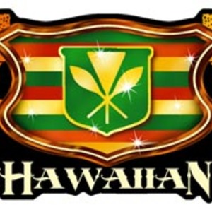 300x300 Hawaii Logo Free Vectors Ui Download
