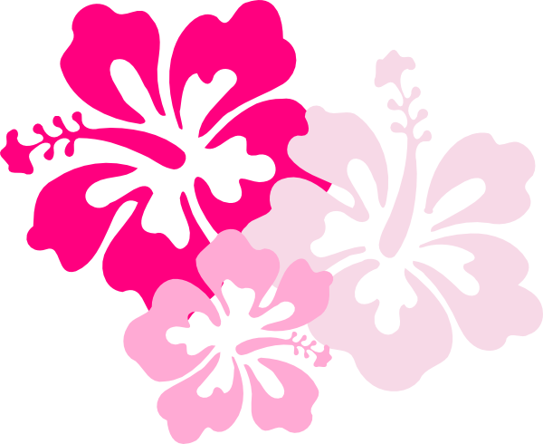 600x490 Hawaiian Flower Pattern Pink Hibiscus Clip Art Pic Clker