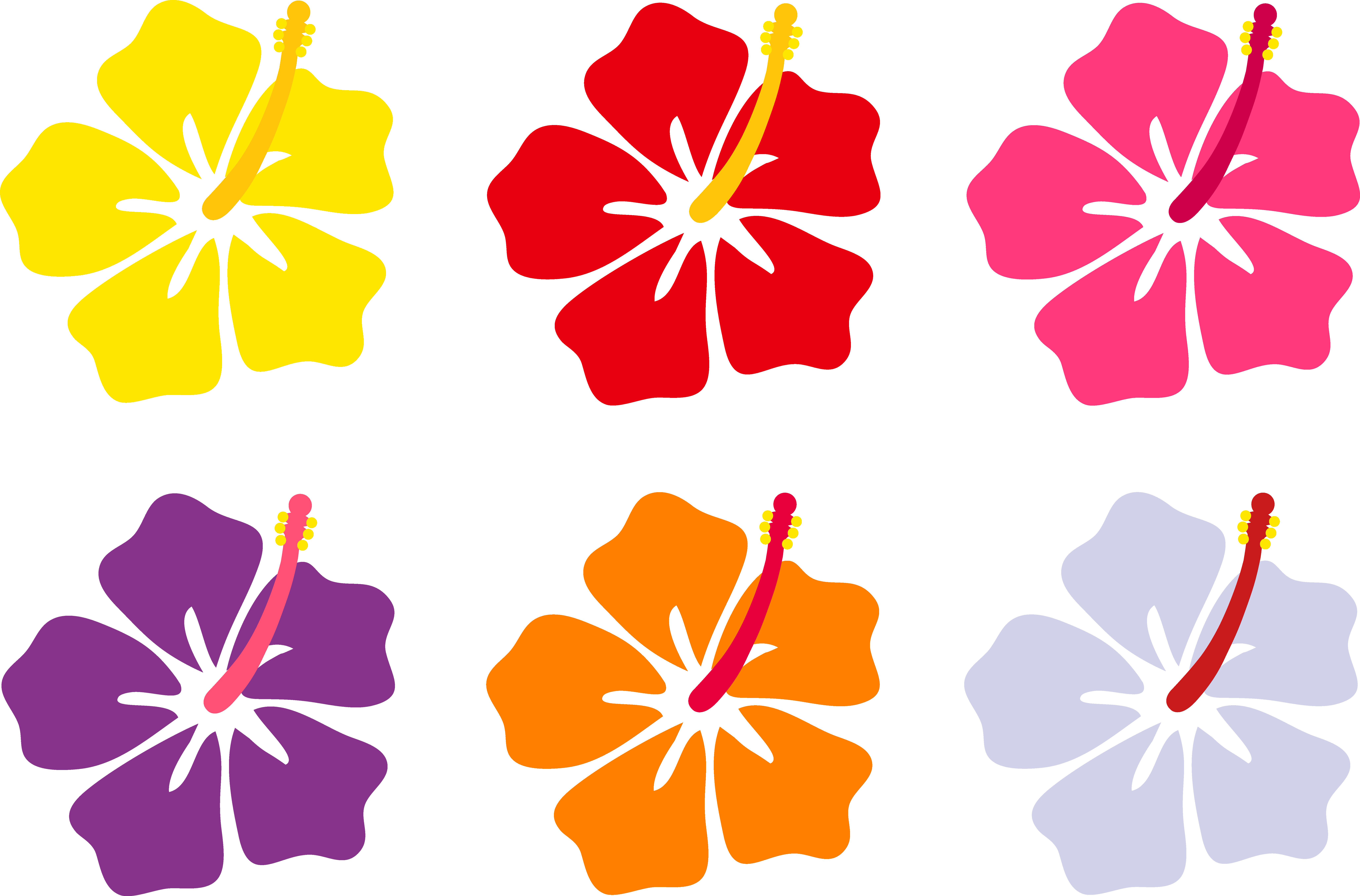 8230x5425 Hibiscus Clipart Flower Pattern For Free Download And Use Images