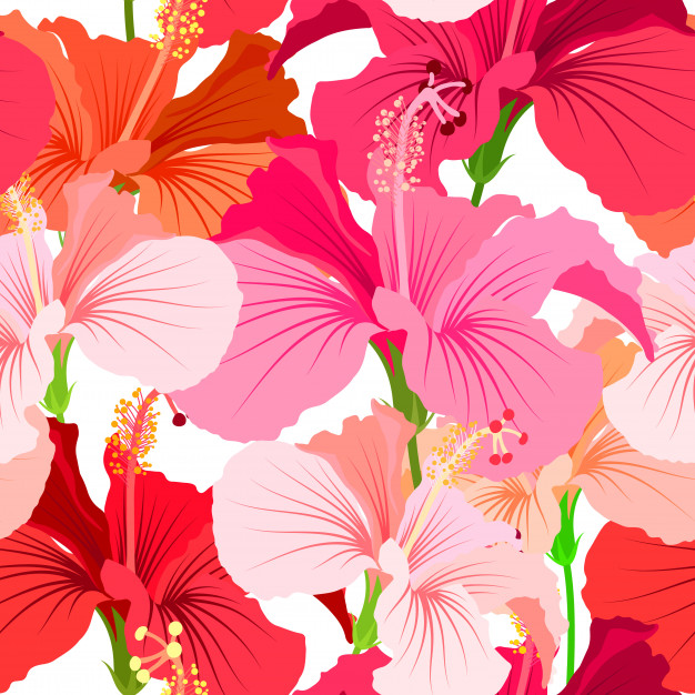 Hawaiian Flower Pattern Vector at Collection of