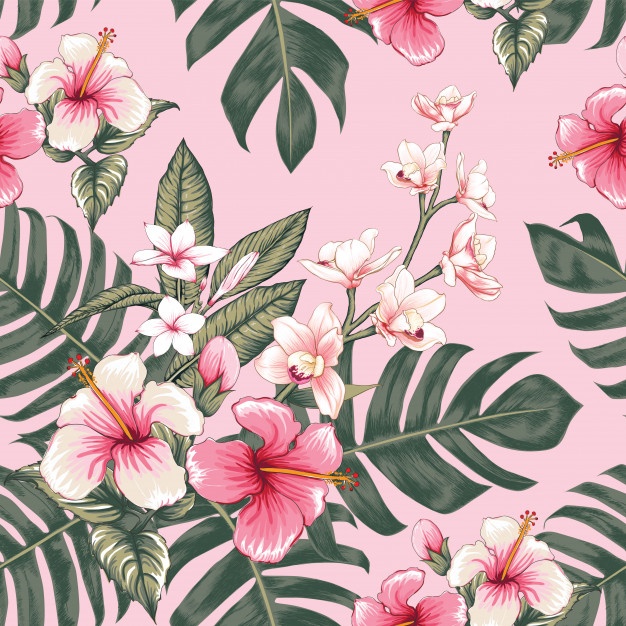 626x626 Tropical Flower Vectors, Photos And Free Download