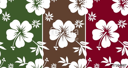 500x268 Seamless Hibiscus Flower Pattern Stock Image And Royalty Free