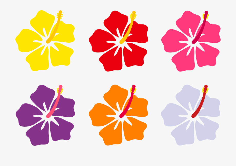 920x646 Hawaiian Flower Vector Png