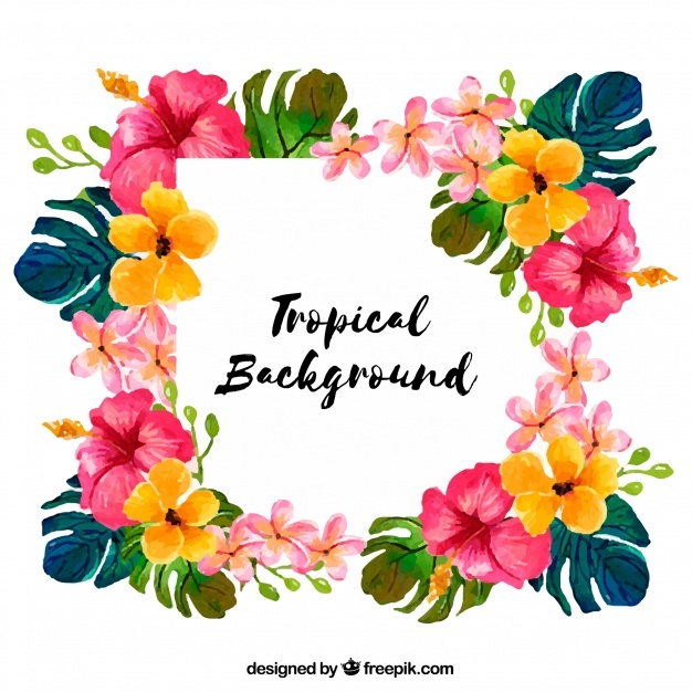 626x626 Hawaiian Flower Vectors, Photos And Free Download