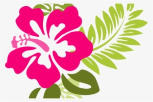 300x200 Hawaiian Flowers Png Download Transparent Hawaiian Flowers Png
