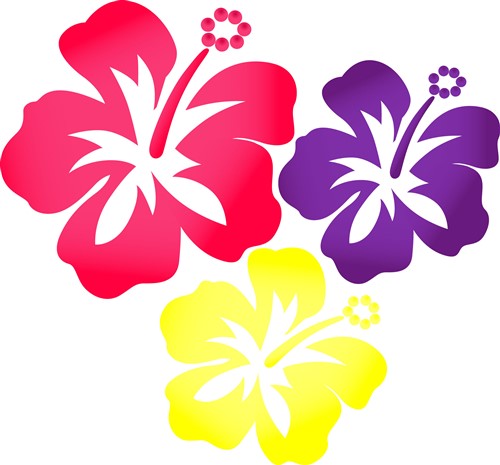 500x465 Hawaiian Flowers Vector Illustration Annthegran