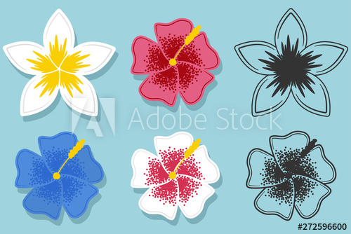 500x334 Hawaiian Flower Vector Cartoon Set Isolated On A White Background