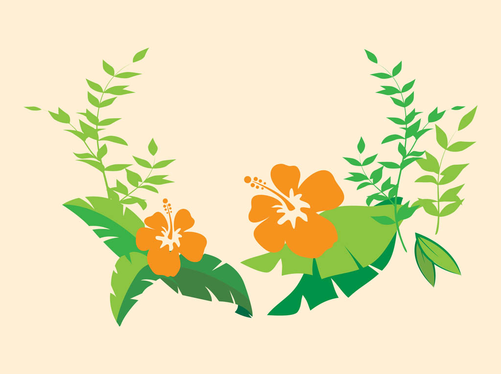 1024x765 Hibiscus Flowers Vector Art Graphics