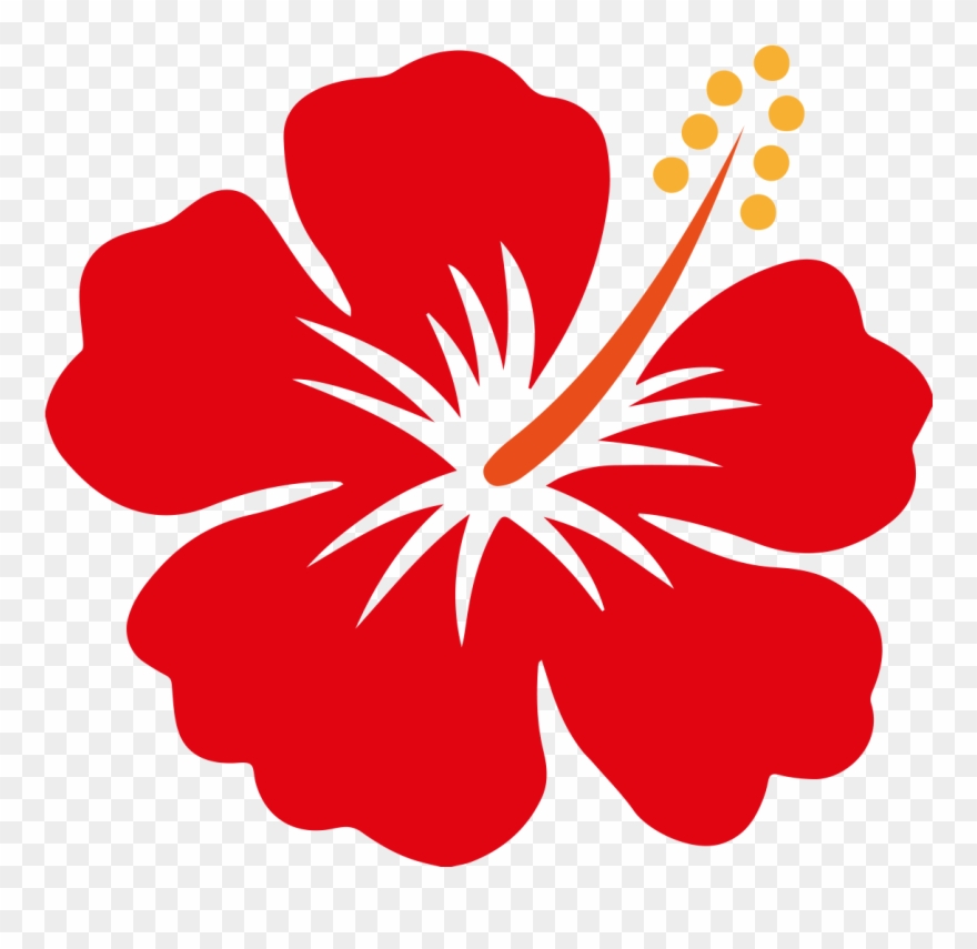 880x855 Hibiscus Vector Png