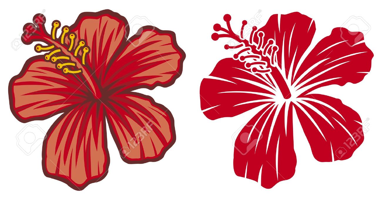 1300x679 Hibiscus Flowers Vector Art Free Png Files, Free Clip Art Download