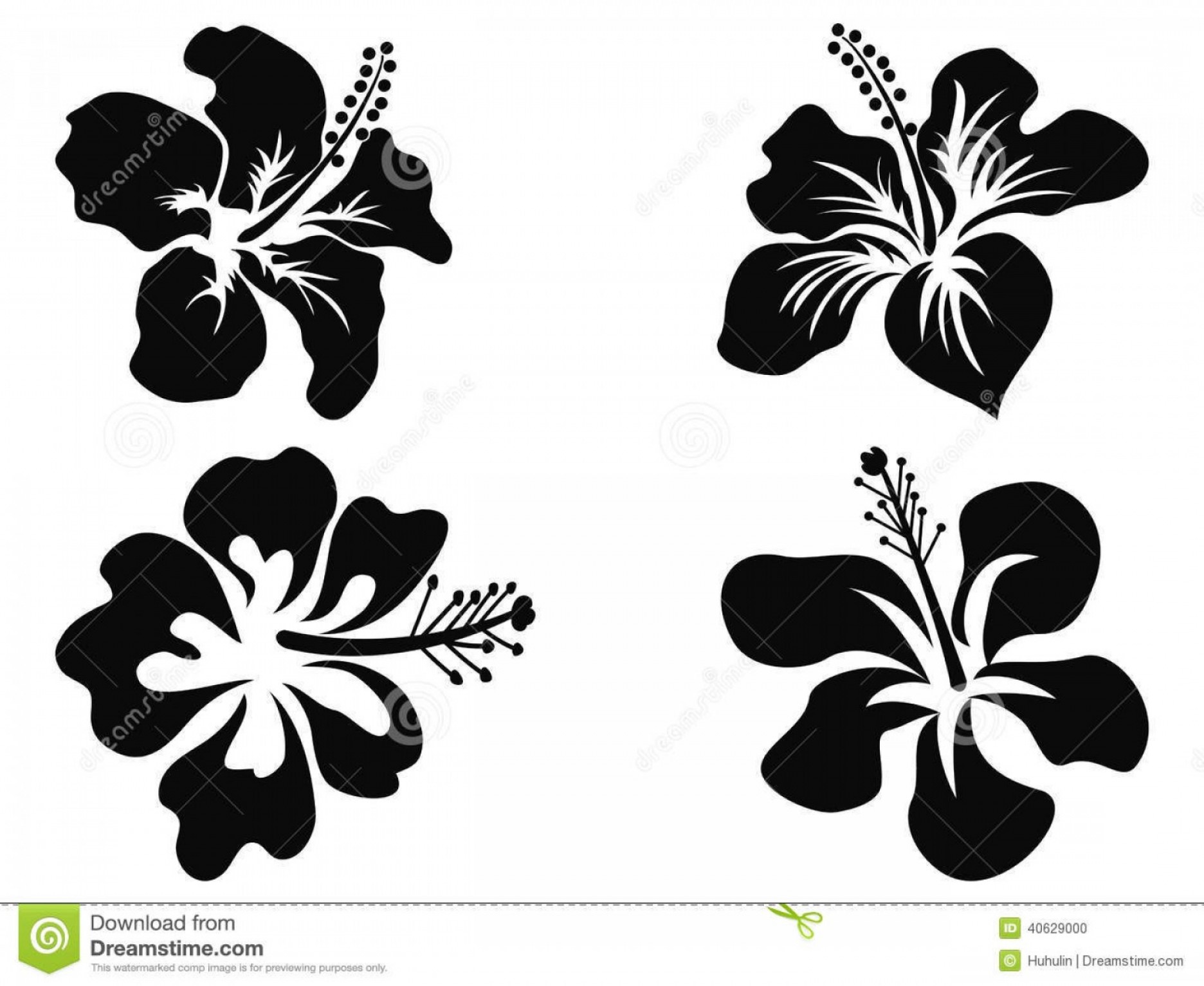 1872x1533 Stock Photo Hibiscus Vector Silhouettes Isolated Black White