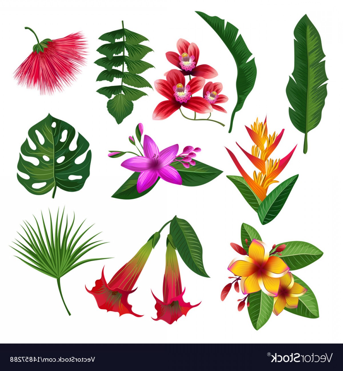 Hawaiian Flower Vector at Vectorified.com | Collection of Hawaiian ...