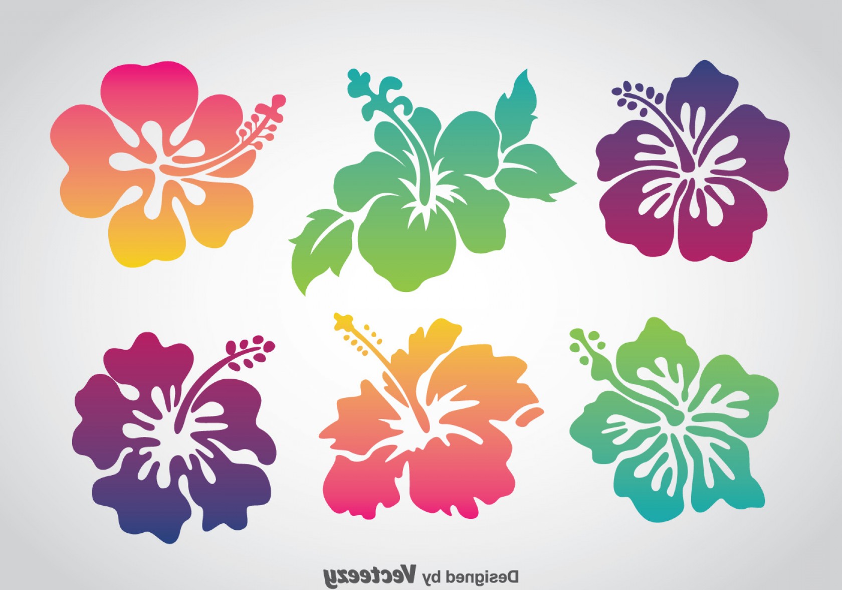 1680x1176 Colorful Hawaii Flower Vector Set Soidergi