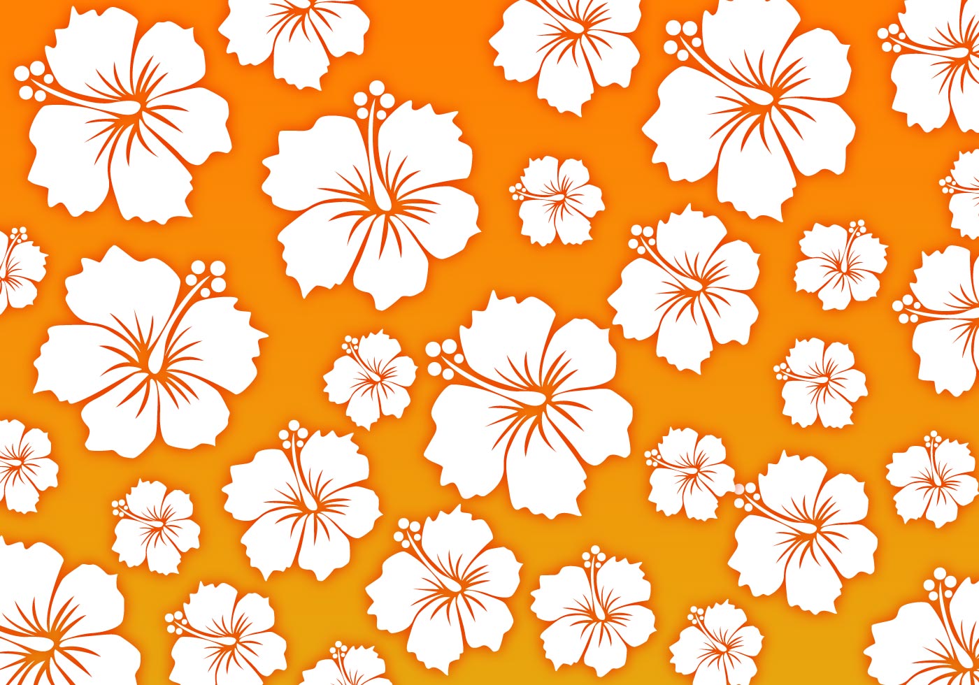 1400x980 Free Hawaii Background Vector