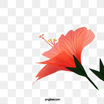 360x360 Hawaii Flowers Png, Vector, And Clipart With Transparent