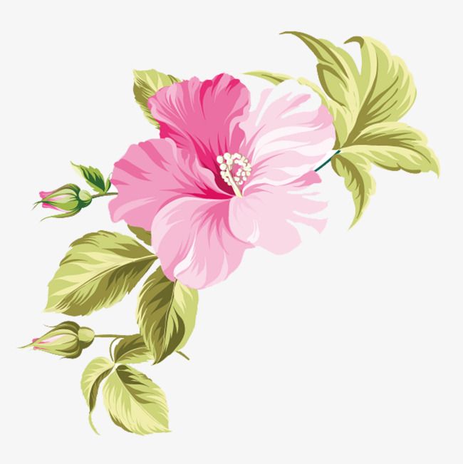 650x651 Hawaii Hand Painted Flowers, Hawaii, Tropic, Hand Png And Vector