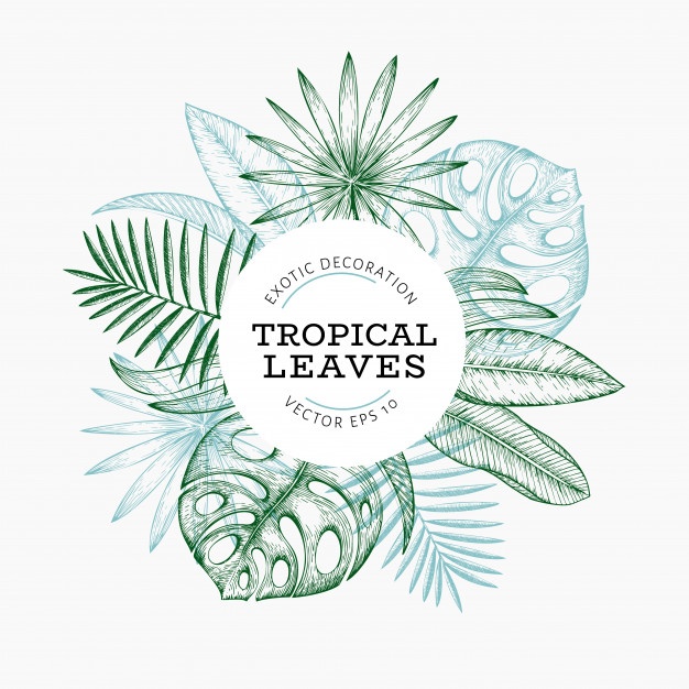 Hawaiian Flower Vector Png at Vectorified.com | Collection of Hawaiian ...