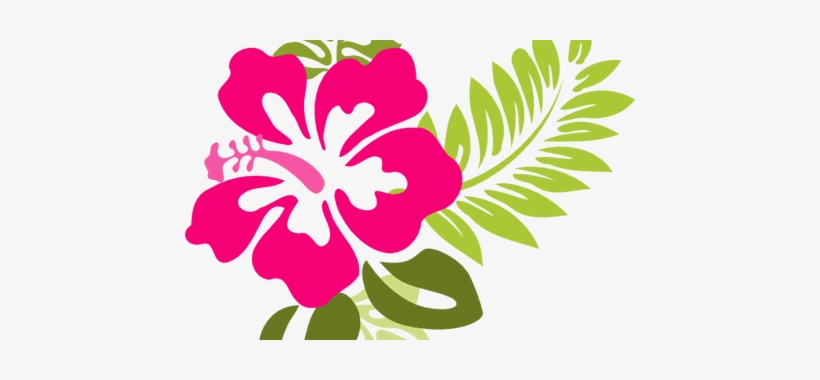 820x380 Hawaiian Flowers Png Download Transparent Hawaiian Flowers Png