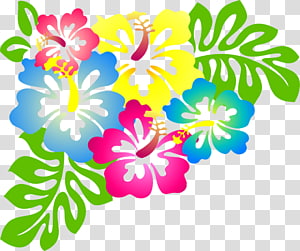 300x251 Hawaiian Vector Transparent Background Png Cliparts Free Download
