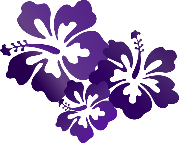 600x478 Hawaiian Flower Hibiscus Flowers Clip Art