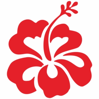320x320 Hibiscus Flower Logo Vector