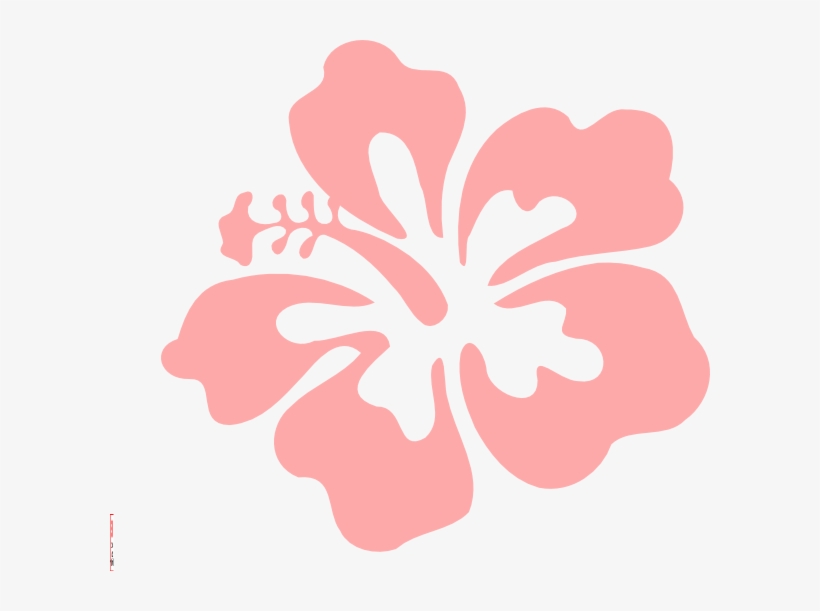 820x611 Coral Vector Printable