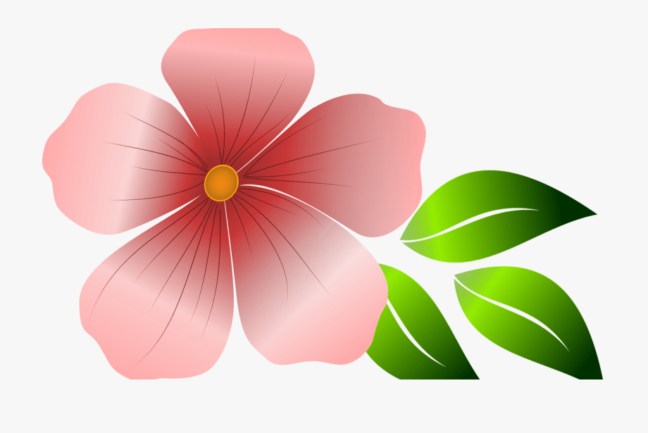 Hawaiian Flower Vector Png at Vectorified.com | Collection of Hawaiian ...