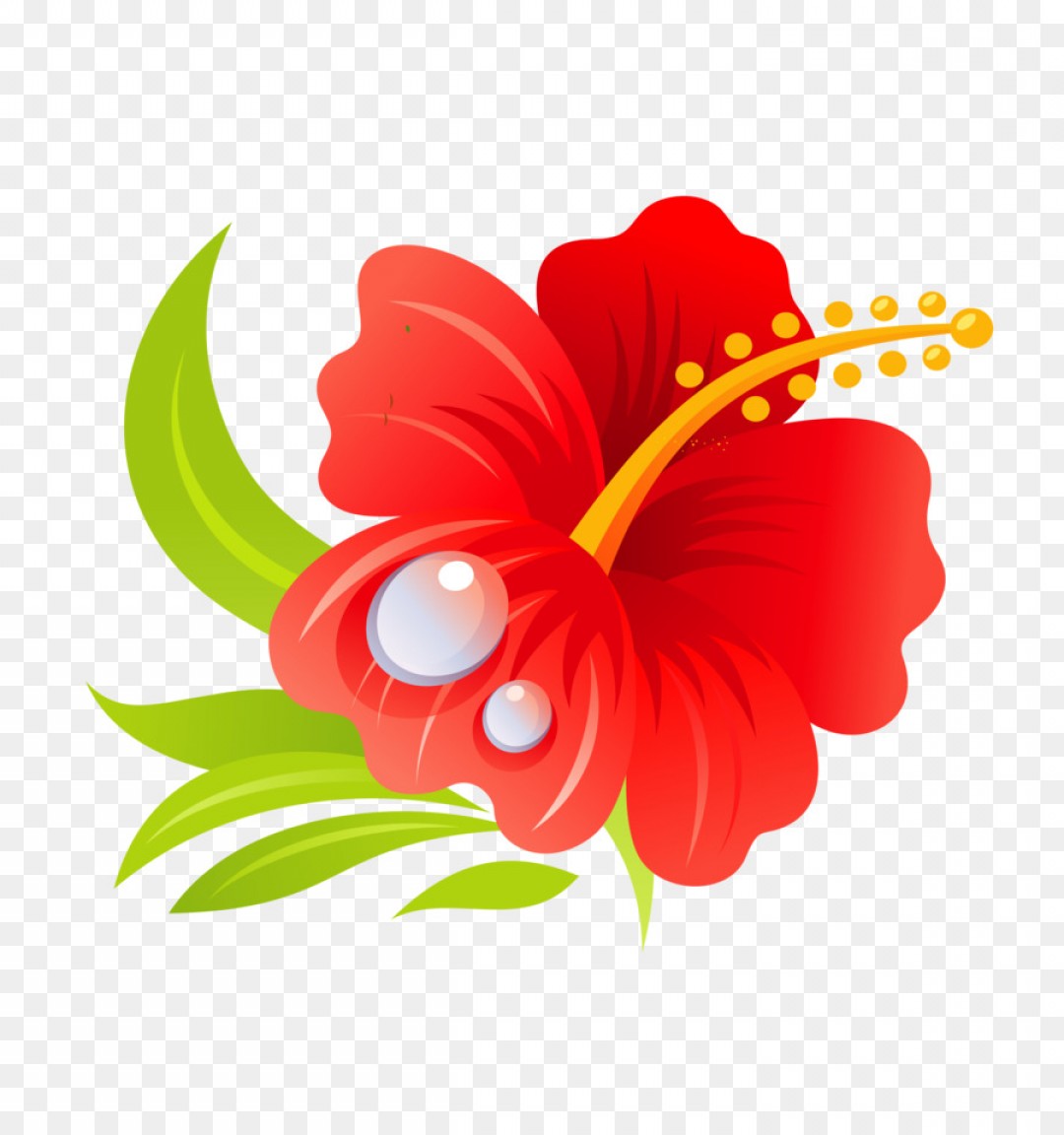 1080x1152 Png Hawaiian Hibiscus Hawaiian Hibiscus Drawing Clip A Soidergi