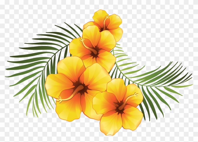 840x603 Yellow Hibiscus Flower Vector Royalty Free Download