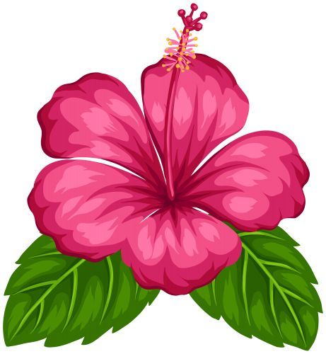 461x500 Hawaiian Aloha Tropical Pandora's Hawaiian Flower Drawing