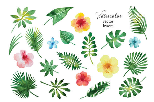 612x408 Hawaiian Islands Clipart